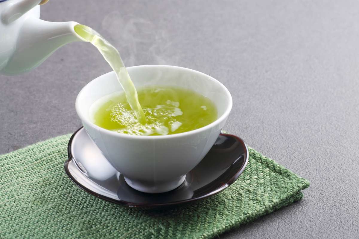 BRAIN TEA: 9 Teas To Drink That Boost Brain Health – YoungbyChoice