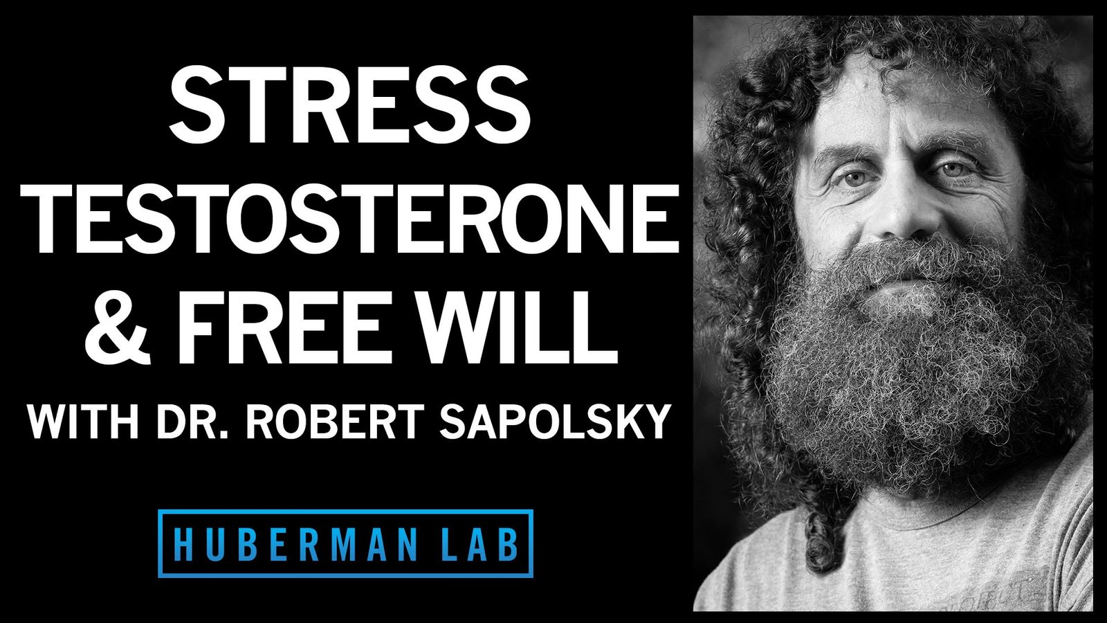 Dr. Robert Sapolsky: Science Of Stress, Testosterone & Free Will ...