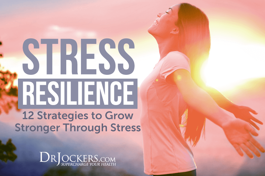 Stress Resilience, Stress Resilience: 12 Strategies to Grow Stronger Through Stress